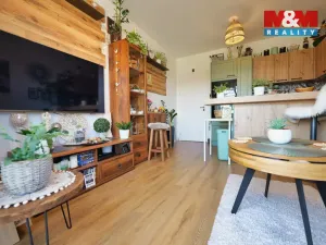 Prodej bytu 3+kk, Rostěnice-Zvonovice - Rostěnice, 53 m2