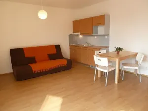 Pronájem bytu 1+kk, Brno, Božetěchova, 34 m2