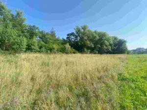 Prodej pozemku, Moravský Písek, 2722 m2