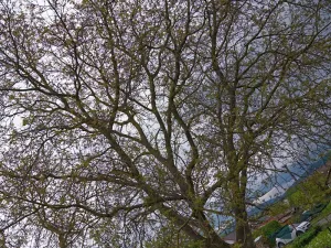 Prodej pozemku pro bydlení, Nýrsko, 829 m2
