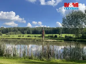 Prodej pozemku pro bydlení, Hory, 9437 m2