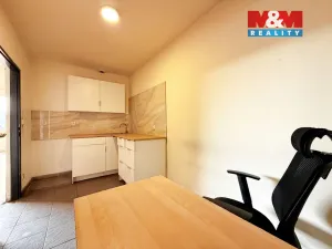 Prodej obchodního prostoru, Lysá nad Labem, 317 m2