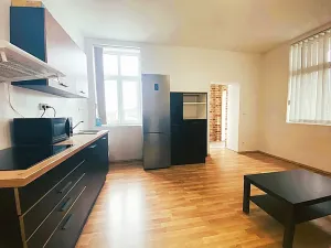 Pronájem bytu 1+kk, Čistá, 41 m2