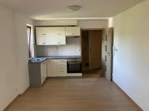 Pronájem bytu 1+1, Liberec, Šlikova, 38 m2