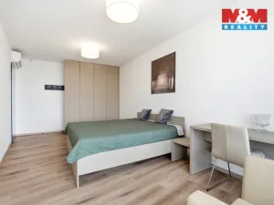 Prodej bytu 3+kk, Mladá Boleslav - Mladá Boleslav I, Železná, 117 m2