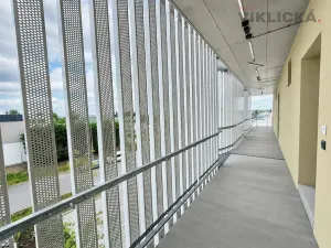Pronájem bytu 1+kk, Brno - Horní Heršpice, Řepova, 34 m2