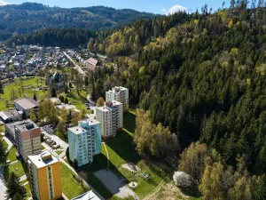 Prodej bytu 3+1, Loučovice, 75 m2