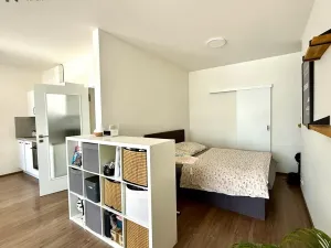 Pronájem bytu 1+kk, Praha - Libeň, U Rokytky, 72 m2