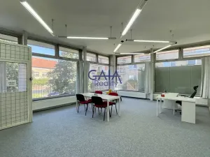 Pronájem obchodního prostoru, Strážnice, Kostelní, 56 m2