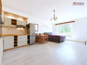 Prodej bytu 1+kk, Zeleneč, Čsl. armády, 37 m2