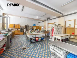 Prodej rodinného domu, Doksy, Pod Borným, 1700 m2