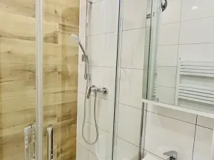 Prodej bytu 2+1, Brno, Výstavní, 55 m2