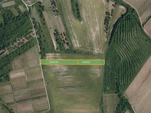 Prodej pole, Hustopeče, 5091 m2