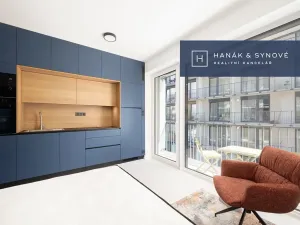 Pronájem bytu 1+kk, Brno, Koliště, 22 m2