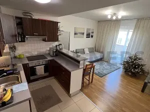 Pronájem pokoje, Praha - Žižkov, Lukášova, 16 m2