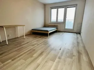 Prodej bytu 1+kk, Ostrava - Zábřeh, Petruškova, 28 m2