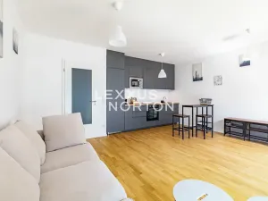 Prodej bytu 1+kk, Praha - Žižkov, U Viktorie, 40 m2