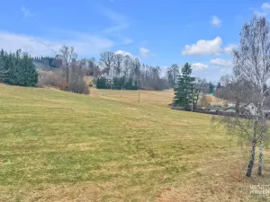 Prodej pozemku pro bydlení, Chotěvice, 3064 m2