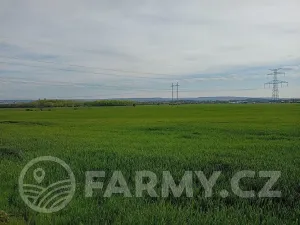 Prodej podílu pole, Lenešice, 410992 m2