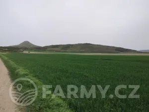 Prodej podílu pole, Lenešice, 410992 m2