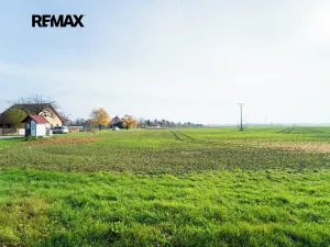 Prodej pozemku pro bydlení, Všechlapy, 9214 m2