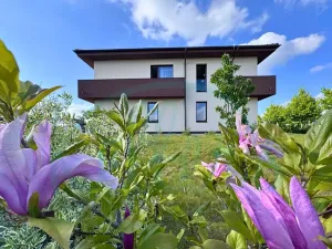 Pronájem rodinného domu, Vysoký Újezd, Pod Ovčínem, 244 m2