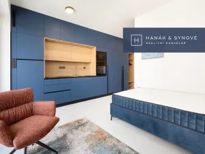 Pronájem bytu 1+kk, Brno, Koliště, 23 m2