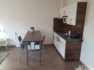 Pronájem bytu 1+kk, Praha - Michle, Hanusova, 30 m2