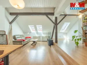 Pronájem bytu 1+1, Praha - Vinohrady, Záhřebská, 88 m2