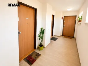 Pronájem bytu 1+kk, Praha - Uhříněves, Blšanecká, 32 m2