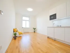 Pronájem bytu 1+kk, Praha - Vinohrady, Španělská, 28 m2