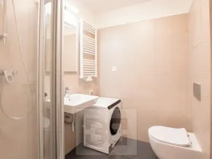 Pronájem bytu 1+kk, Tuchoměřice, V Kněžívce, 22 m2