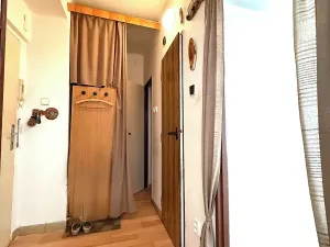 Prodej bytu 1+1, Havířov, Elišky Krásnohorské, 36 m2
