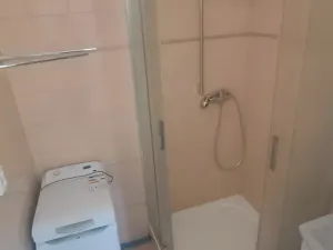 Pronájem bytu 2+1, Plasy, Babinská, 58 m2