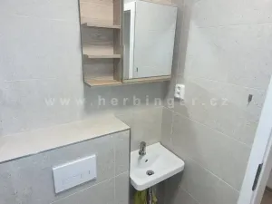 Pronájem bytu 1+kk, Otrokovice, Školní, 33 m2