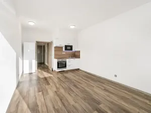 Pronájem bytu 1+kk, Plzeň - Severní Předměstí, Bolevecká, 37 m2