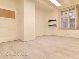 Pronájem kanceláře, Praha - Bubeneč, Terronská, 34 m2