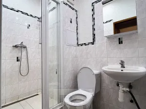 Pronájem bytu 2+1, Plzeň, Blatenská, 60 m2