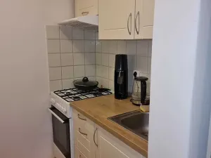 Pronájem bytu 1+kk, Liberec, Puchmajerova, 25 m2