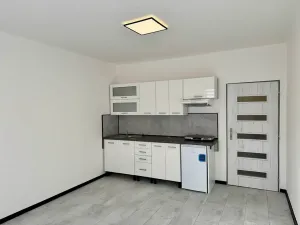 Prodej bytu 1+kk, Příbram, Ve Dvoře, 25 m2