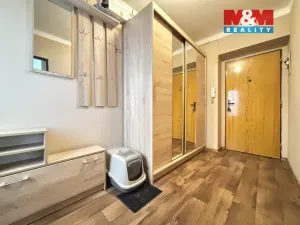 Prodej bytu 2+1, Pacov, Na Blatech, 54 m2