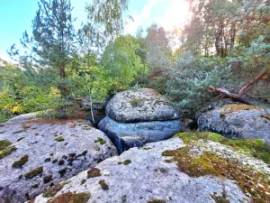 Prodej zemědělské usedlosti, Kanina, 500 m2