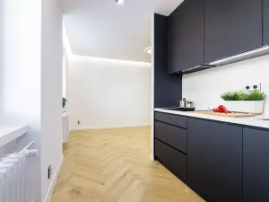 Pronájem bytu 3+1, Ostrava, Josefa Skupy, 65 m2