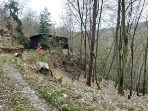 Prodej lesa, Petrov, 23078 m2