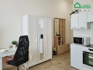 Pronájem bytu 1+kk, Brno, Koliště, 26 m2