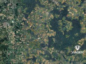 Prodej podílu pole, Olešník, 2100 m2