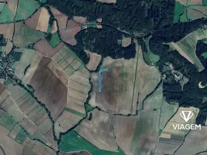 Prodej podílu pole, Mutějovice, 1239 m2
