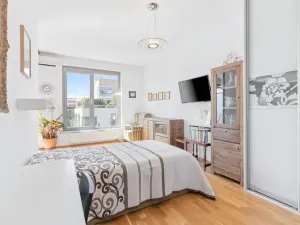 Prodej bytu 2+kk, Praha - Vinohrady, Korunní, 58 m2