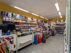 Prodej obchodního prostoru, Přerov, Wilsonova, 265 m2