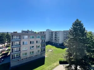 Prodej bytu 4+1, Milevsko, E. Destinové, 91 m2